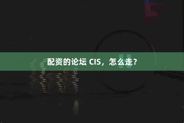 配资的论坛 CIS，怎么走？