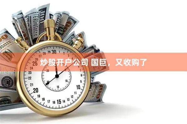 炒股开户公司 国巨，又收购了