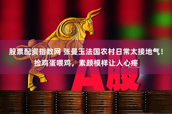 股票配资指数网 张曼玉法国农村日常太接地气!捡鸡蛋喂鸡,素颜模样让人心疼